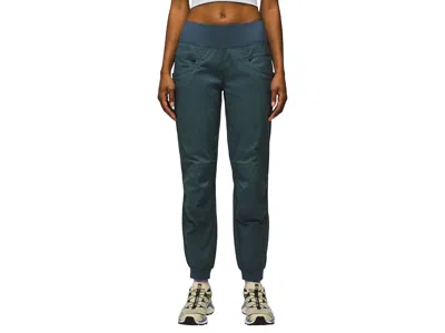 Prana Kanab Pants Women's Casual Pants Grey Blue: Sm (women's 4-6) R, Cotton/nylon/spandex In Animal Print