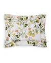 Pratesi Botanica Boudoir Sham In Sage