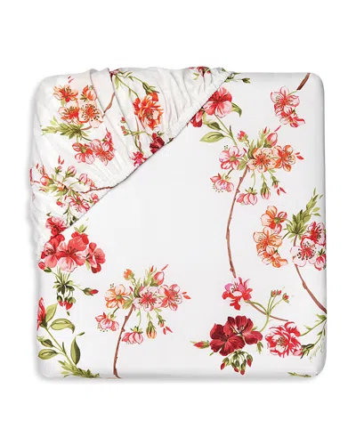 Pratesi Fresia Fitted Sheet, Twin Xl In Scarlet