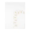 Pratesi Paolina King Flat Sheet In Beige