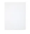 Pratesi Treccia King Flat Sheet In White