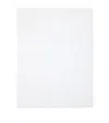Pratesi Treccia Super King Flat Sheet In White