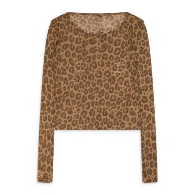 Praying Cheetah L/s Multi