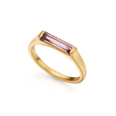 Preeti Sandhu Women's Gold / Purple 14k Gold Plated Slim Stacking Ring - Amethyst In Multi