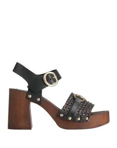 Pregunta Woman Mules & Clogs Black Size 8 Leather, Textile Fibers