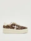 Premiata Animal Print Low Top Sneakers For Women In Brown