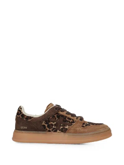 Premiata Quinnd 8643 Sneakers In Brown