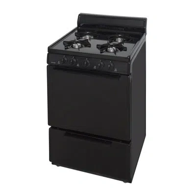 Premier 24" Gas Range In Black