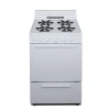 Premier 24" Gas Range In Silver