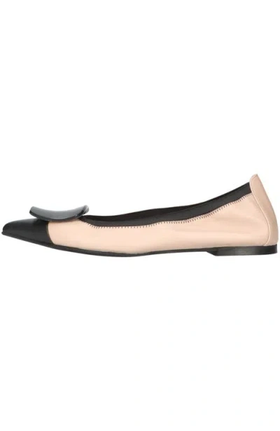 Pretty Ballerinas Pointed Toe Brooch Ballet Flat In Multi
