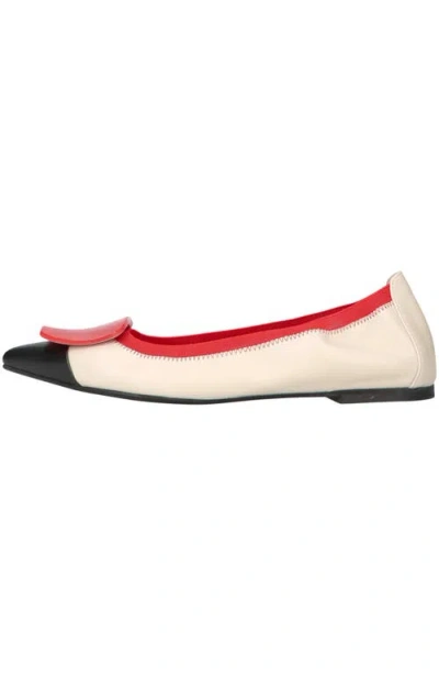 Pretty Ballerinas Pointed Toe Brooch Ballet Flat In Multi