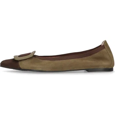 Pretty Ballerinas Pointed Toe Elasticated Ballet Flat In Brown