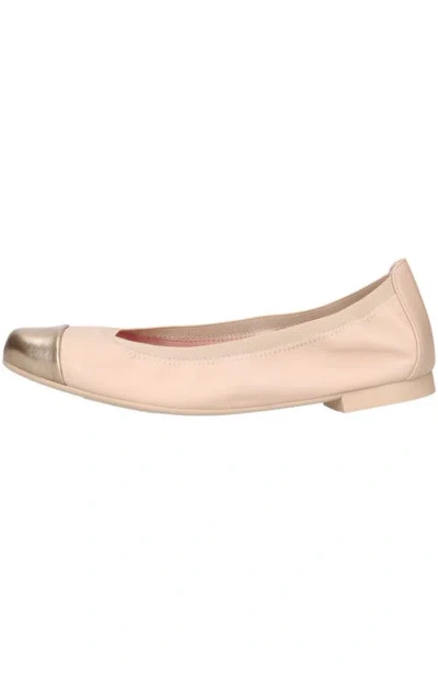 Pretty Ballerinas Round Toe Elasticated Ballet Flat In Multi