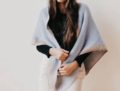 Pretty Simple Two Tone Scarf In Blue & Tan In Multi