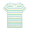 Primary Adult Classic Crewneck Multi-stripe Tee In Multi