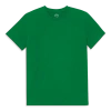 Primary Adult Classic Tee In Grass