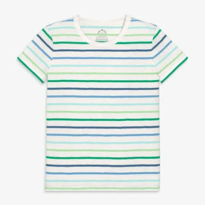 Primary Adult Multi Stripe Classic Tee In Green