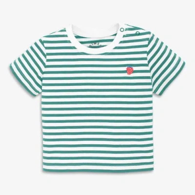 Primary Kids'  Baby Embroidered Stripe Tee In Green