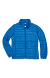 Primary Gown-ups Puffer Jacket In Blueberry