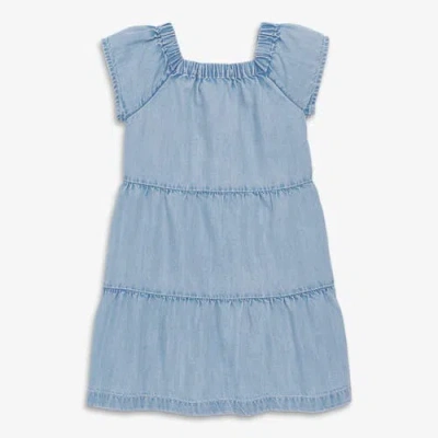 Primary Kids Chambray Picnic Dress In Blue