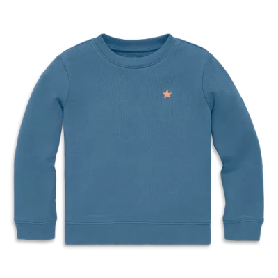 Primary Kids Embroidered Sweatshirt In Moonlight