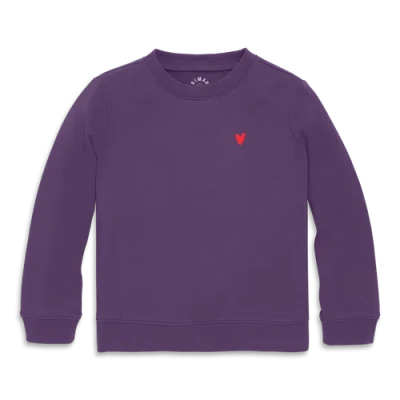 Primary Kids Embroidered Sweatshirt In Purple