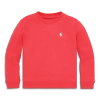 Primary Kids Embroidered Sweatshirt In Strawberry