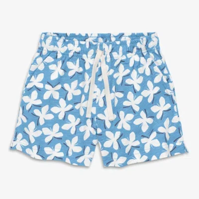 Primary Kids Park Short In Prints In Blue
