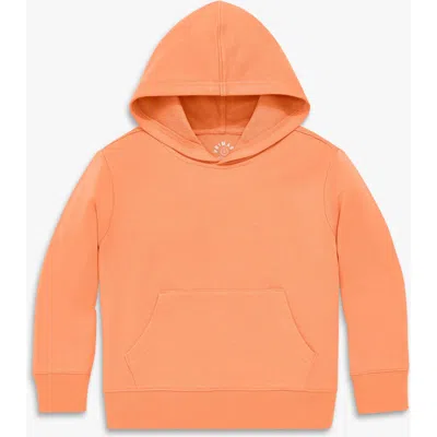 Primary Kids Pullover Hoodie In Orange