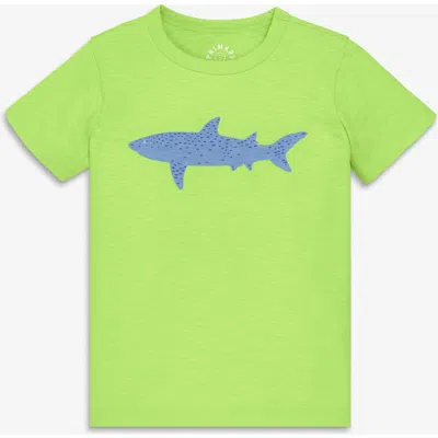 Primary Kids Shark Tee In Green