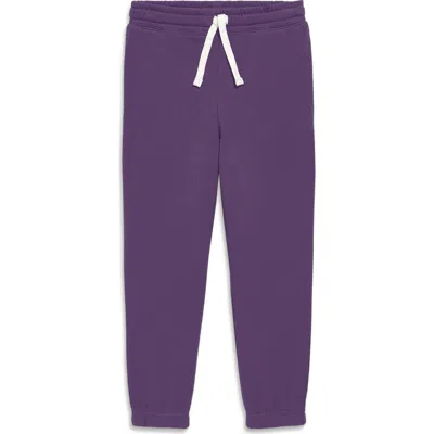 Primary Kids Sweatpant In Purple