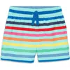 Primary Stripe Swim Trunks In Multi