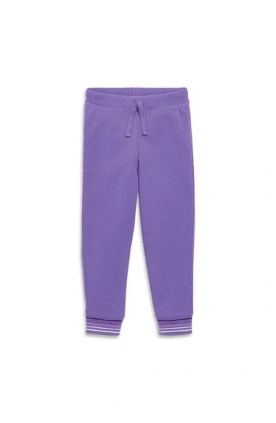 Primary Stripe Trim Jogger In Violet