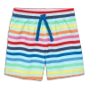 Primary Swim Trunk In Rainbow Sky Stripe In Mist Spring Stripe