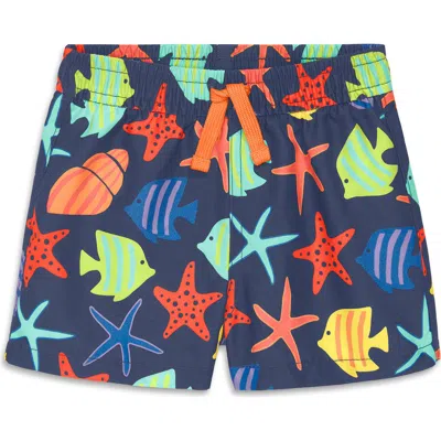 Primary Babies'  Swim Trunks In Blue