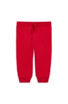 Primary Kids'  The Baby Jogger In Cherry