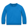 Primary The Kids Sweatshirt In Blueberry
