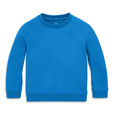 Primary The Kids Sweatshirt In Blueberry