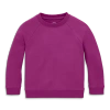 Primary The Kids Sweatshirt In Boysenberry