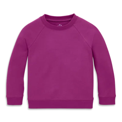 Primary The Kids Sweatshirt In Boysenberry