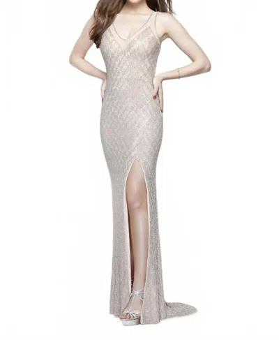 Primavera Embroidered Beaded Gown In Blush In Neutral