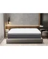 Primo International Symmetry 2 12" Ultra Plush Euro Top Mattress In A Box In No Color