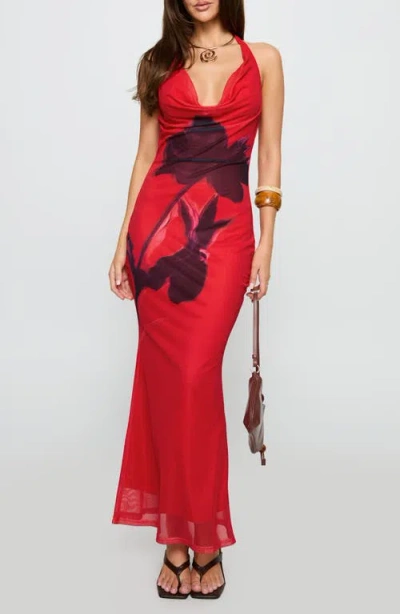 PRINCESS POLLY PRINCESS POLLY BITTERSUITE FLORAL PLUNGE COWL HALTER NECK MESH MAXI DRESS