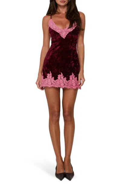 Princess Polly Call My Lover Velvet Lace Slip Minidress In Plum/pink