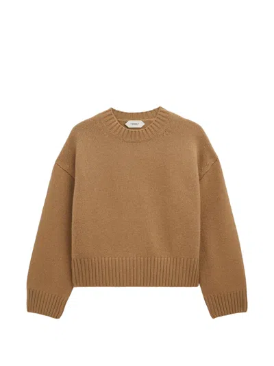 Pringle Of Scotland Crew-neck Cashmere Sweater In Brown