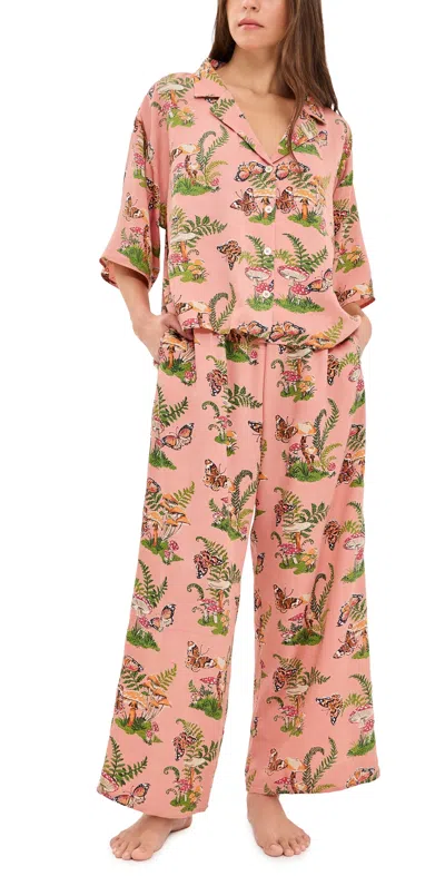 Printfresh Butterfly Forager Wildest Dreams Set Butterfly Forager