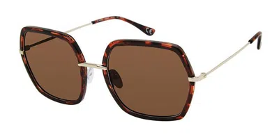 Privé Revaux By The Bay/s Polarized Wr9/sp Women's Sunglasses Tortoiseshell Size 57 In Brown