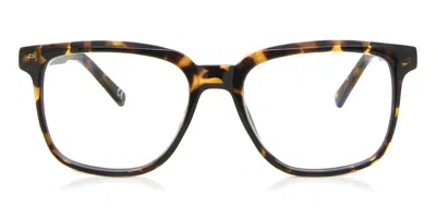 Privé Revaux Nomad/bb Men's Glasses, Tortoiseshell, Size 55 In Brown