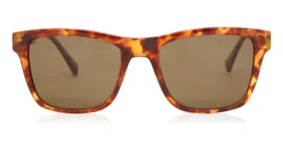 Privé Revaux The Beau/s Wr9/sp Men's Sunglasses Tortoiseshell Size 53 In Brown