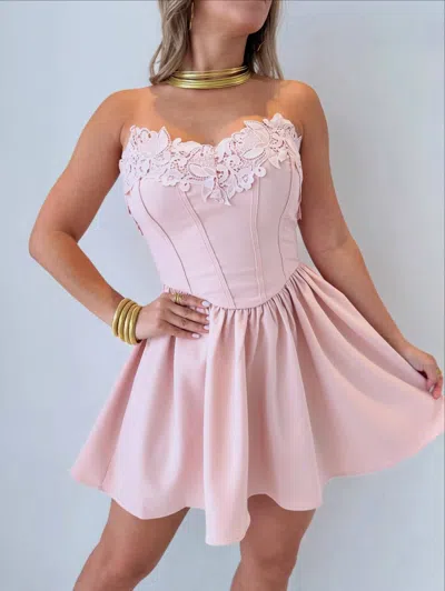 Privy Rose Dress In Soft Pink